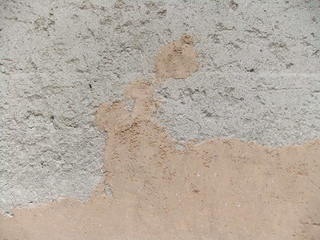 DSCF2937.JPG