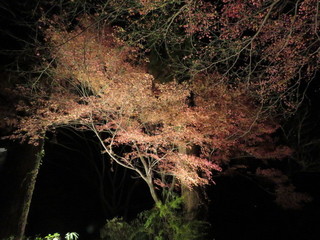 IMG_0023.JPG
