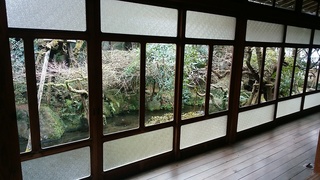 IMG_20160227_112457.jpg