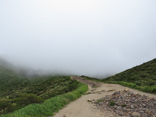 IMG_7253.JPG