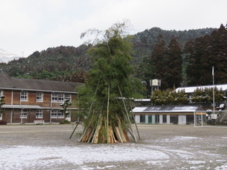 IMG_7695.JPG