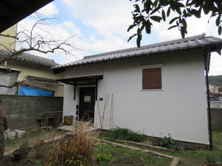 IMG_9873.JPG