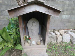 IMG_9874.JPG